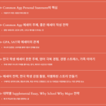 미국 대학 Holistic Review – 에세이